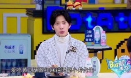 娱乐吃瓜酱唱歌,歌声中的欢乐与感动